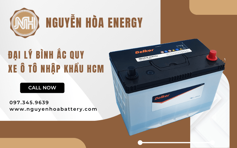 bình ắc quy xe ô tô nhập khẩu HCM