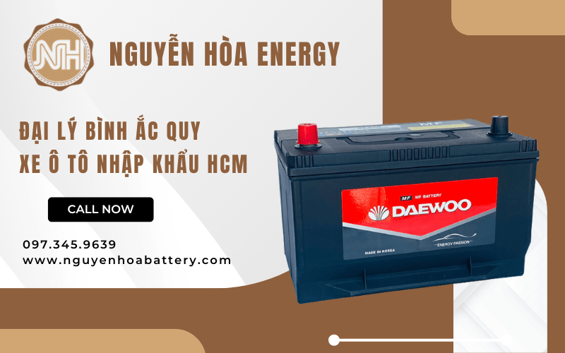 bình ắc quy xe ô tô nhập khẩu HCM