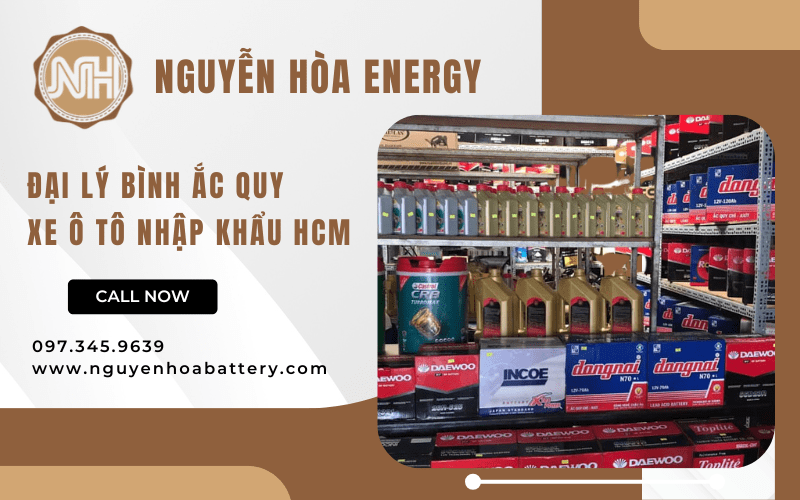 bình ắc quy xe ô tô nhập khẩu HCM